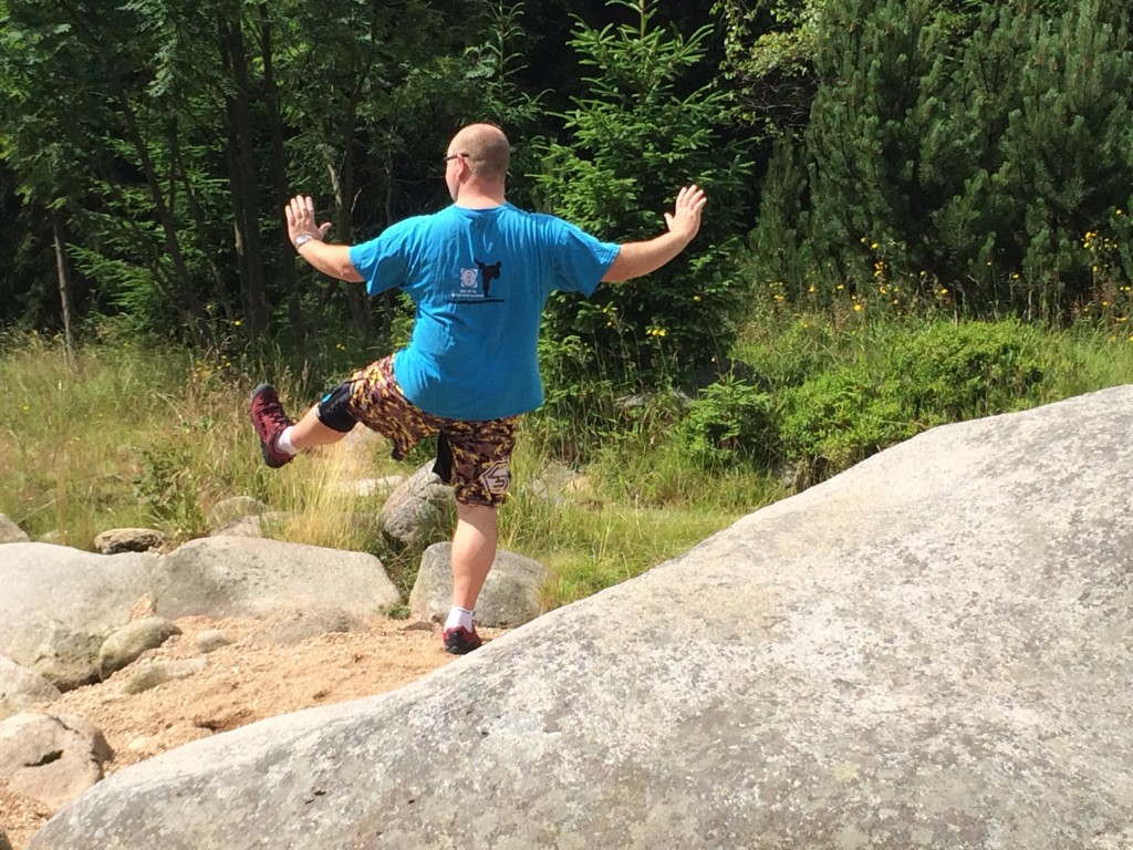 Tai Chi, Split, Tai Chi Kick, Taiji