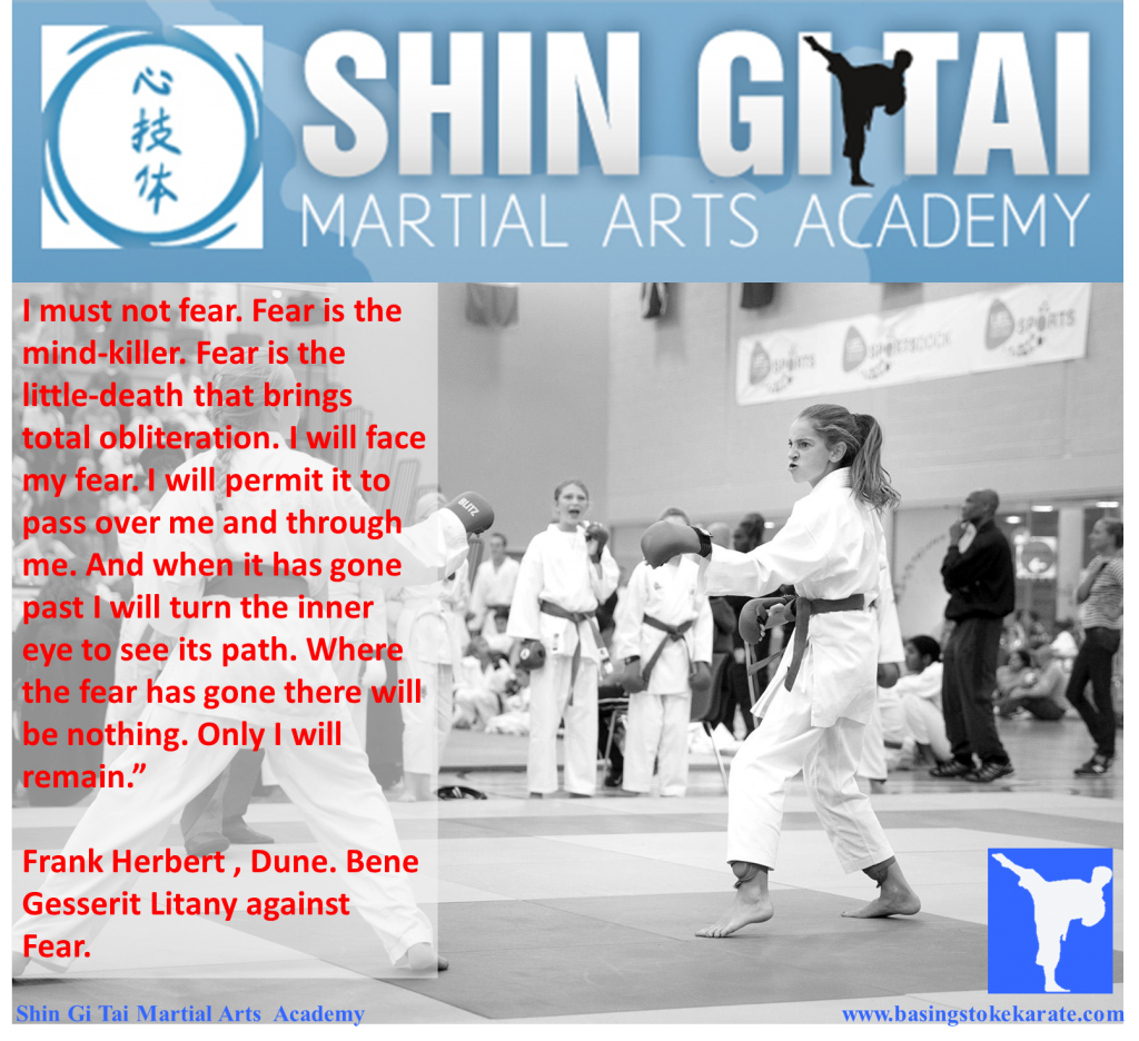 Fear is the mindkiller