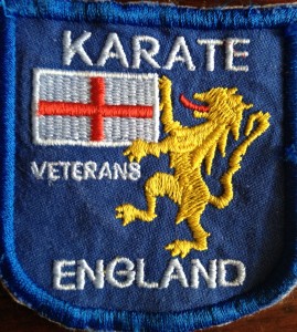 Basing Karate, Kung Fu, Shotokan Karate, Martial Arts for Adults, Beginners Karate